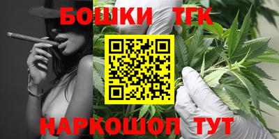 крисы Заводоуковск