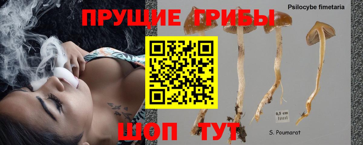Кызыл  Псилоцибиновые грибы мицелий  Вход с VPN 