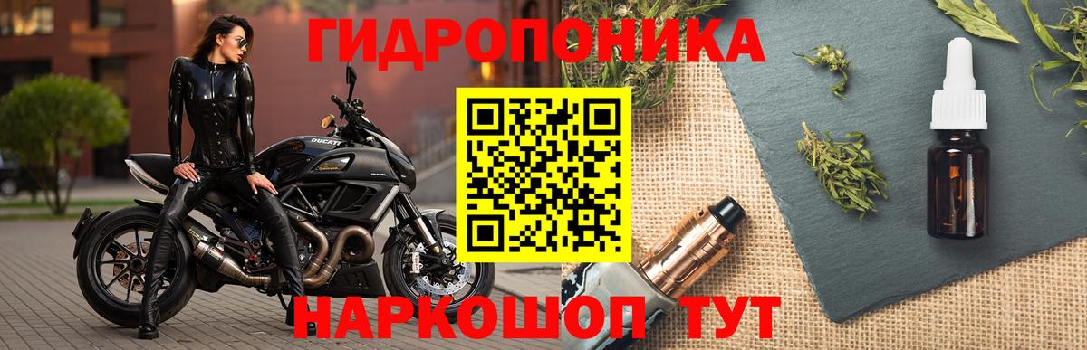 Шишки марихуана марихуана Кызыл